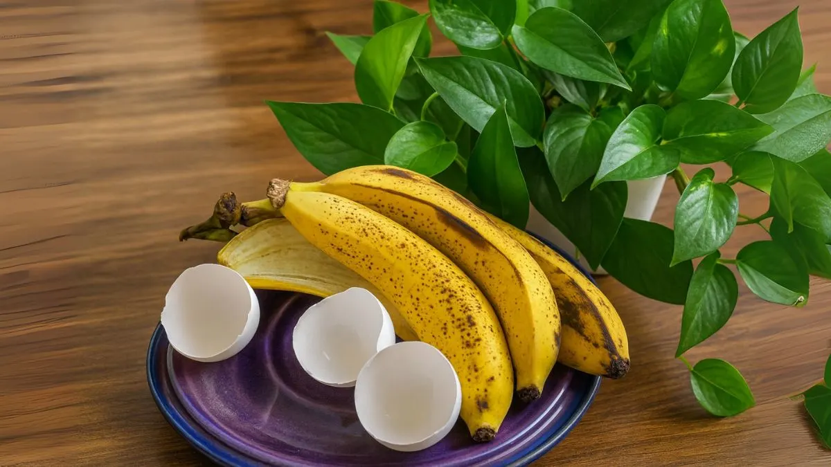 Banana Peels + Eggshells = Your Garden’s Secret Weapon